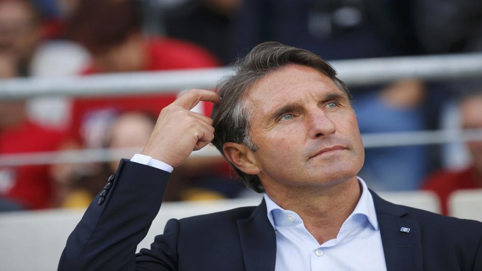 Hertha Berlin boss Bruno Labbadia